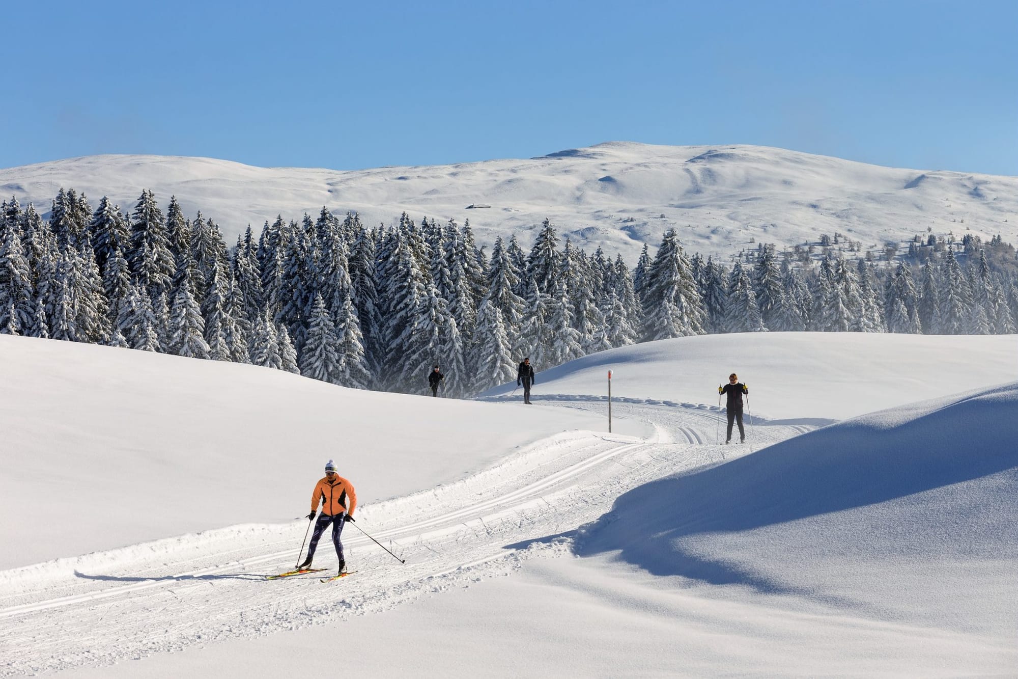 Rafale de Dynamisme au Jura : Les Stations de Ski Préparent leur Métamorphose Estivale