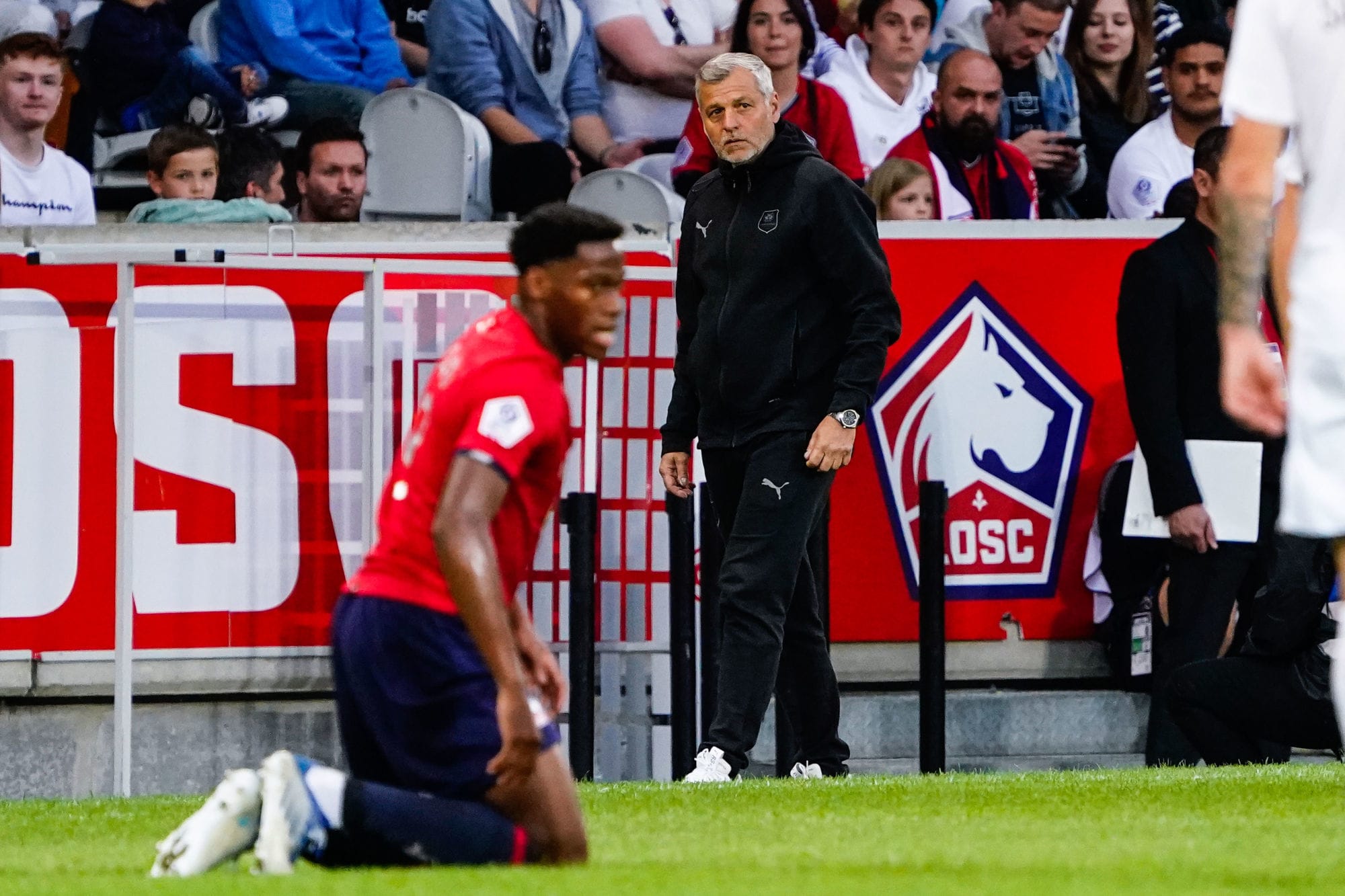 Bruno Genesio en route pour entraîner le LOSC : Un nouvel élan pour Lille